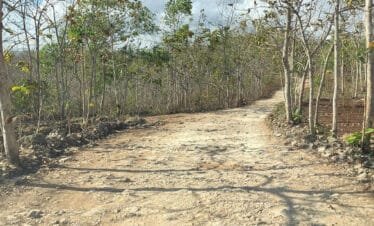 Exploring the Depths: A Day Tour of Jomblang and Pindul Cave in Indonesia