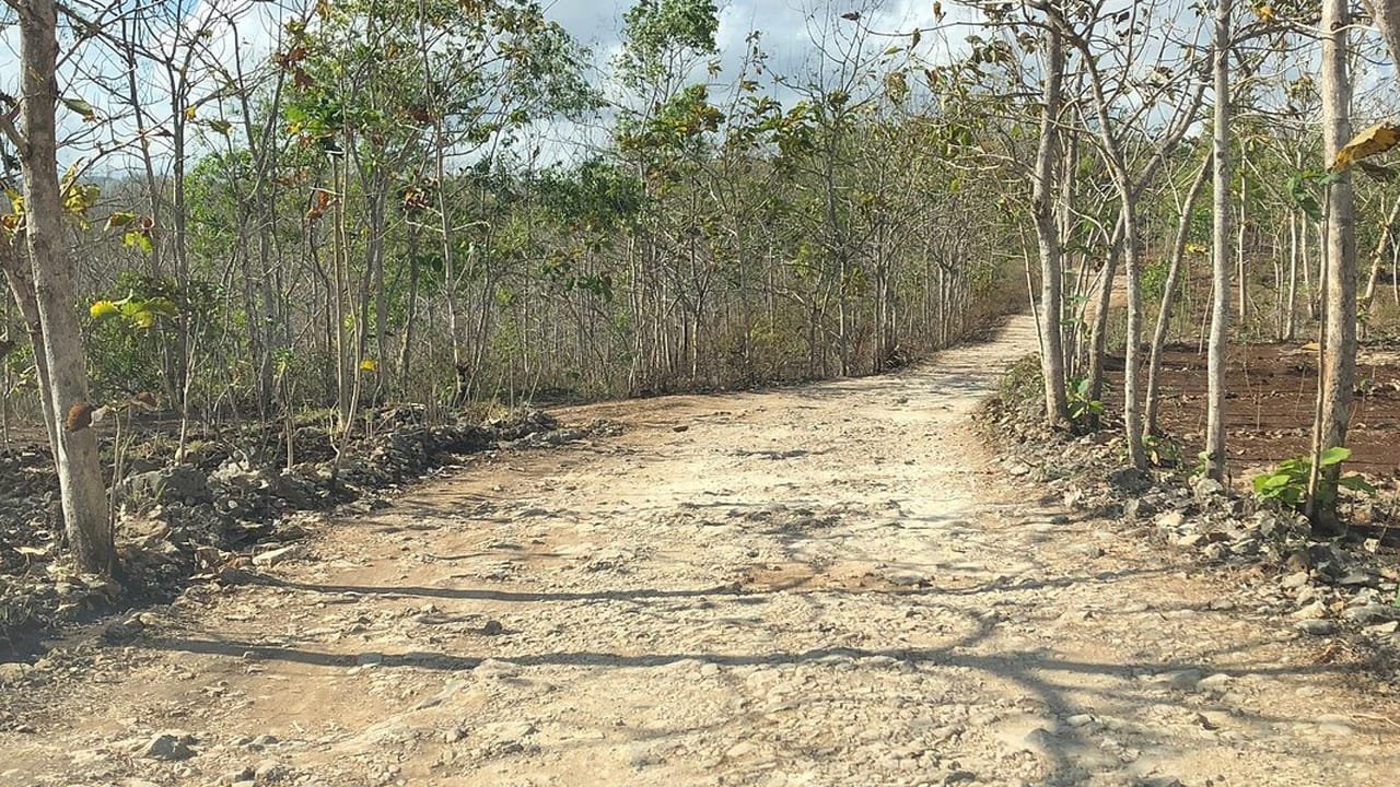 Exploring the Depths: A Day Tour of Jomblang and Pindul Cave in Indonesia