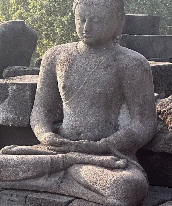 A Cultural Escapade: Discover Borobudur and Selogriyo Temple with a Local Guide