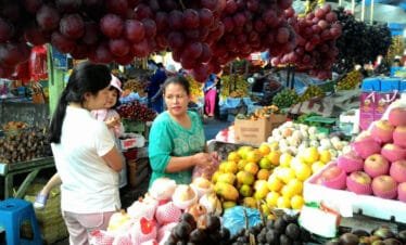 Medan: Berastagi Full-Day Trip