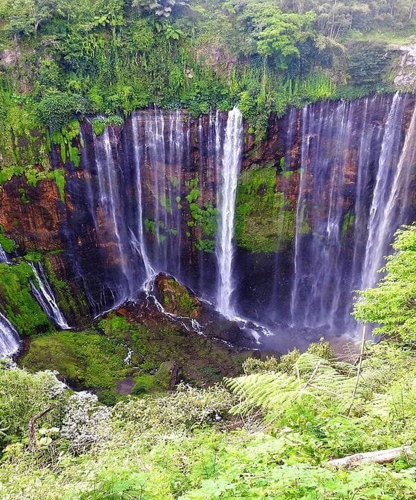 geo indo raya activities, nature tour