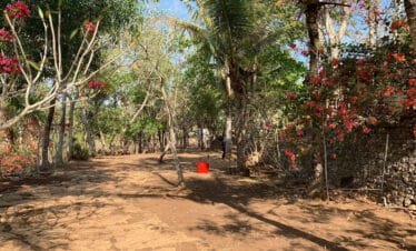 Caving and Culture: Jomblang Cave and Prambanan Temple Tour in Indonesia