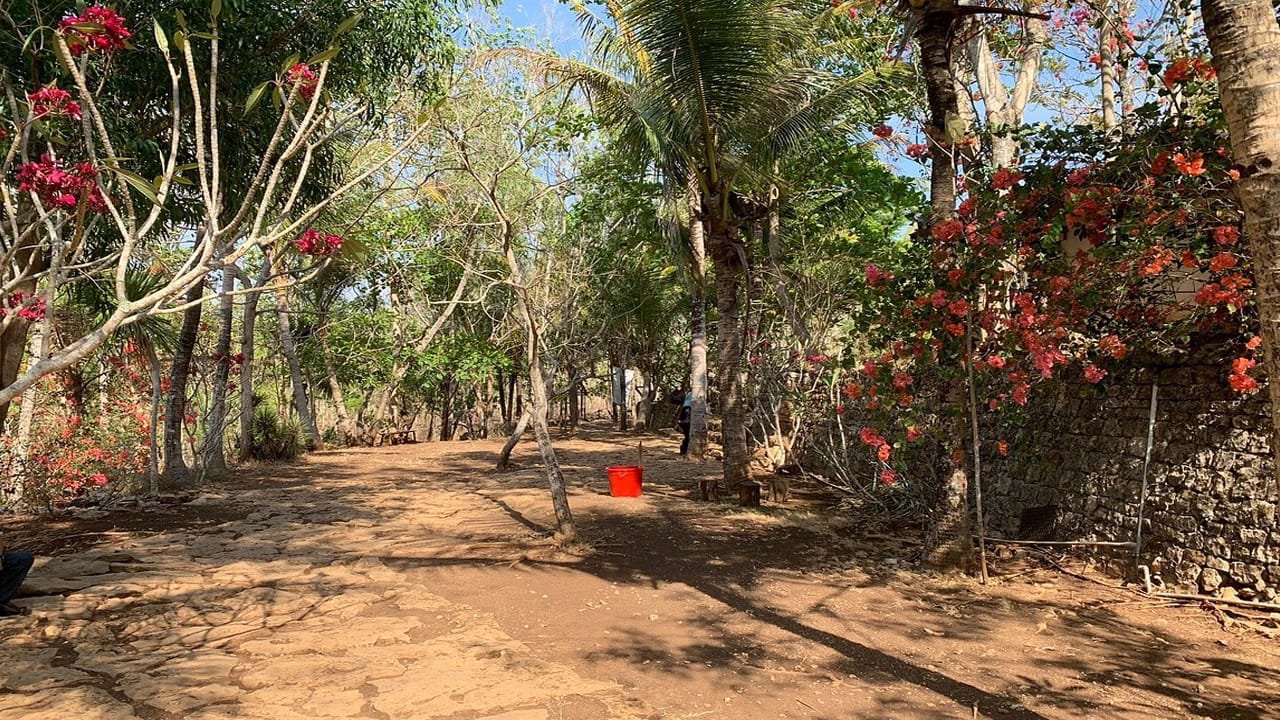 Caving and Culture: Jomblang Cave and Prambanan Temple Tour in Indonesia