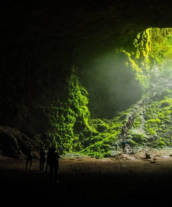 Satisfy Your Adventurous Appetite: Food and Fun in Jomblang Cave Tour