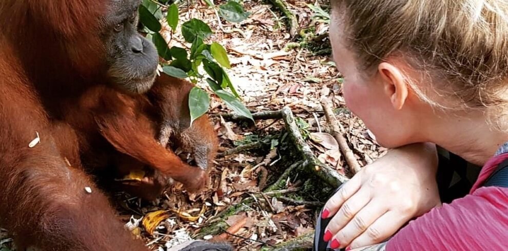Medan Orangutan Day Trip