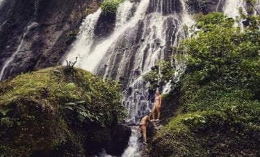 Get Ready for an Epic Adventure: Trek to Tumpak Sewu Waterfall with East Java Adventure Tours
