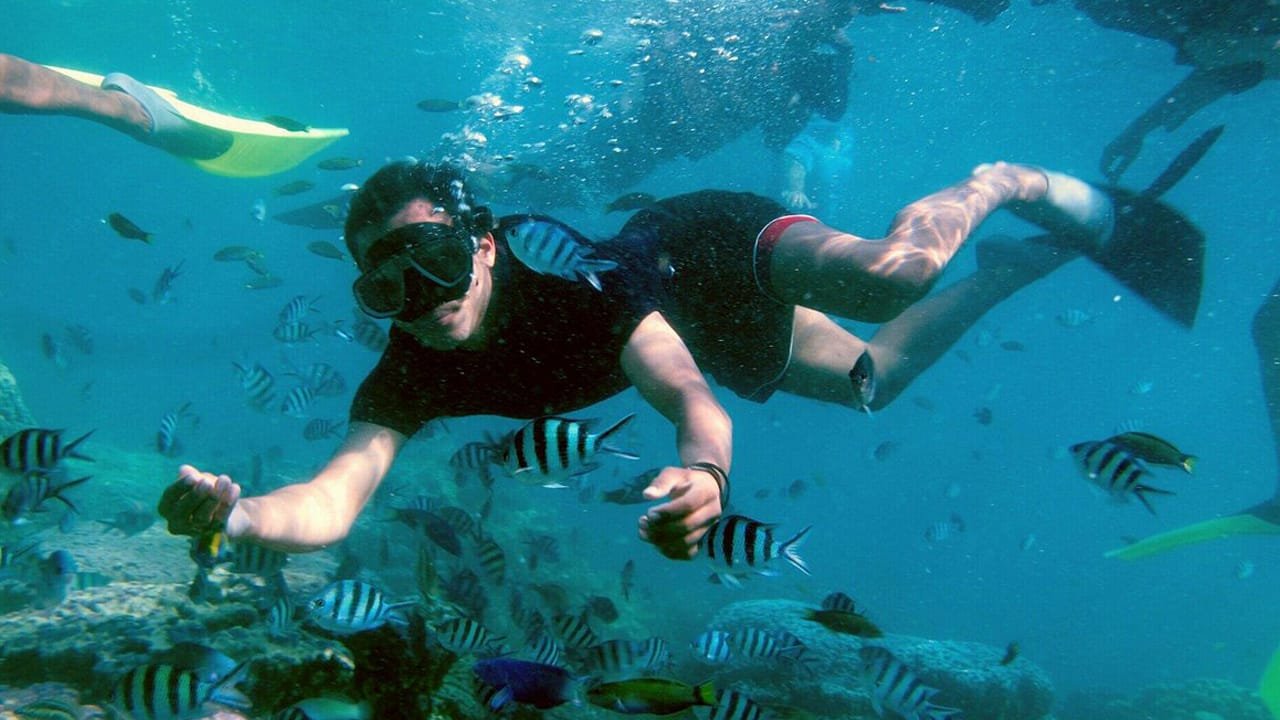 water activity by geoindoraya