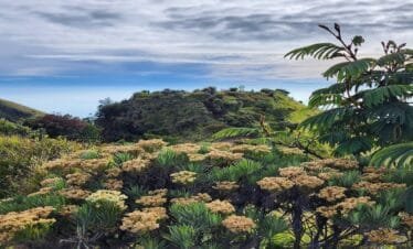 2 Days in Paradise Experiencing Mount Merbabu's Stunning Sunrise