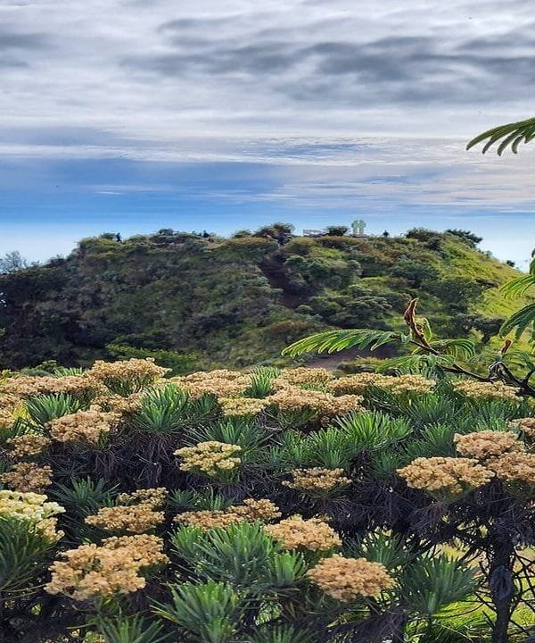 2 Days in Paradise Experiencing Mount Merbabu's Stunning Sunrise