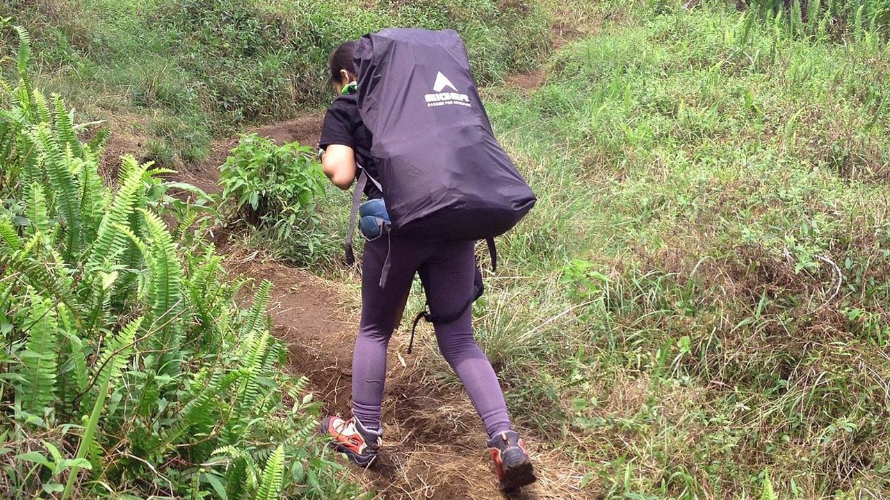 Trekking Camping Mount Slamet 2d1n via Bambangan route