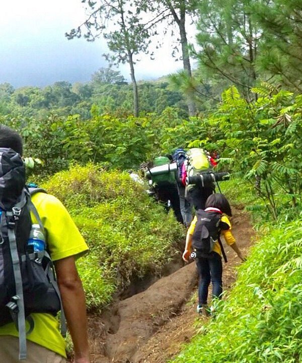 Escape to Nature: Camping on Mount Slamet via Bambangan Route