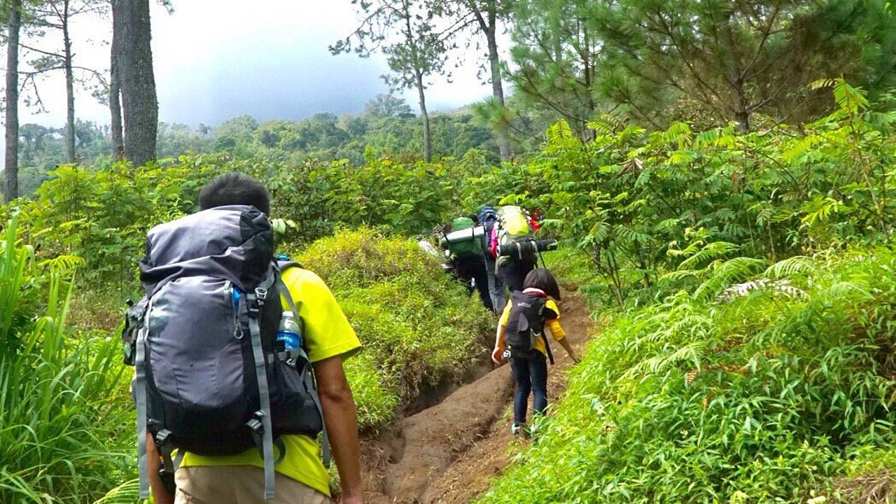 Escape to Nature: Camping on Mount Slamet via Bambangan Route