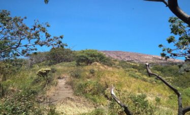Journey to the Clouds: Hiking Mount Slamet's Bambangan Trail