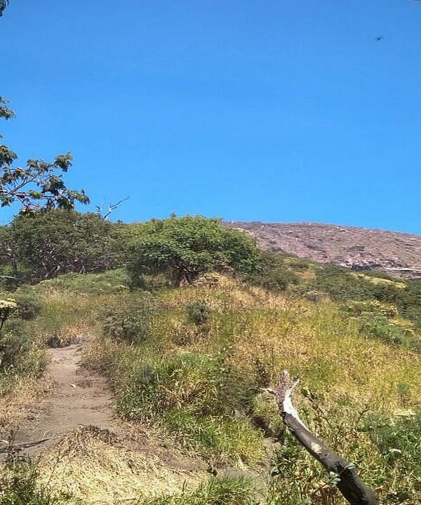 Journey to the Clouds: Hiking Mount Slamet's Bambangan Trail