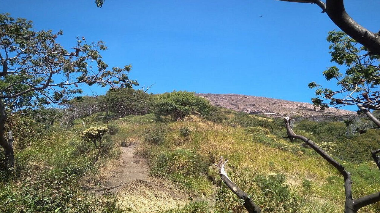 Journey to the Clouds: Hiking Mount Slamet's Bambangan Trail