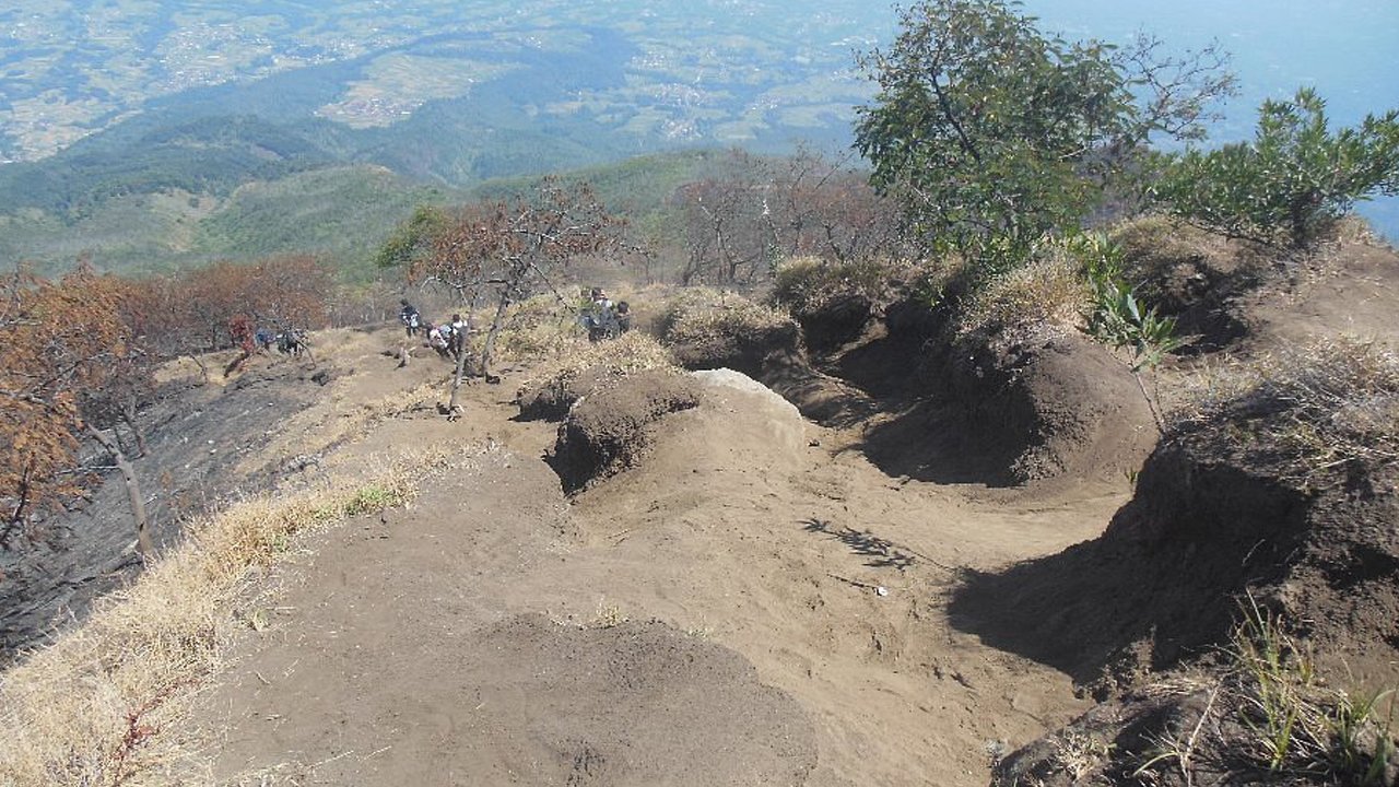 Experience the Beauty of Nature: Hiking Mount Merbabu via Selo
