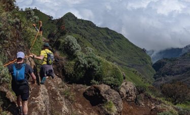 The Best Day Hike: Mount Merbabu via Selo or Suwanting Route