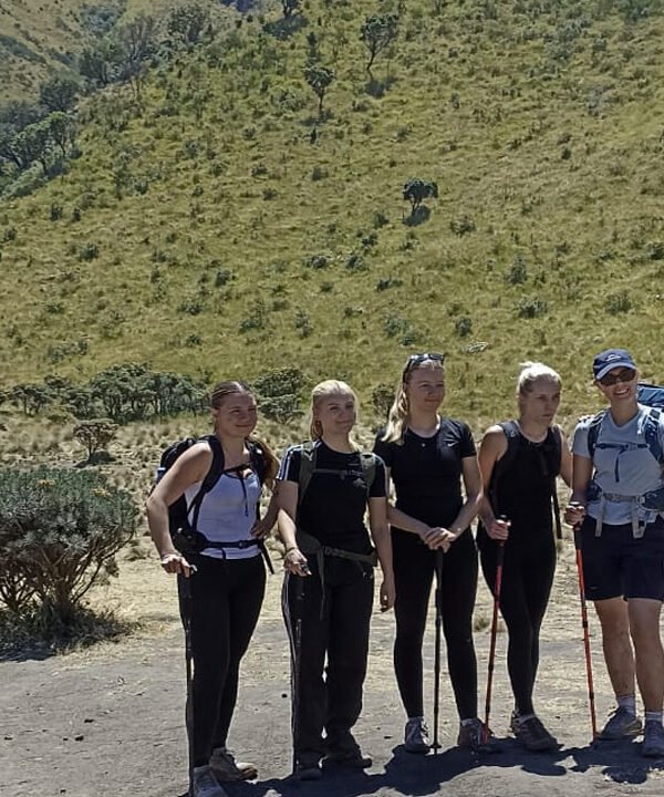 A Day in the Clouds: Trekking Mount Merbabu's Stunning Summit