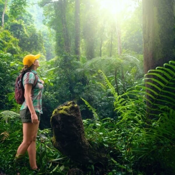 Nature Friendly