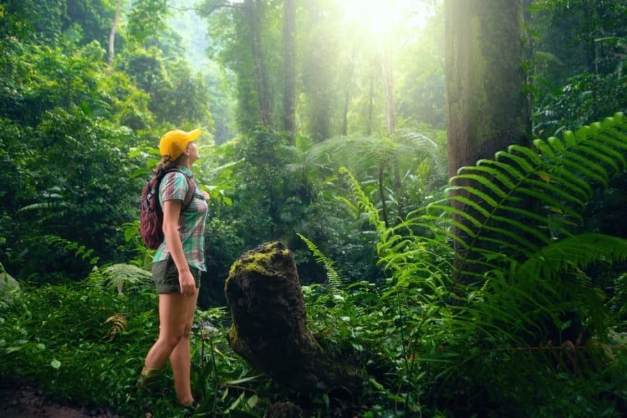 Nature Friendly
