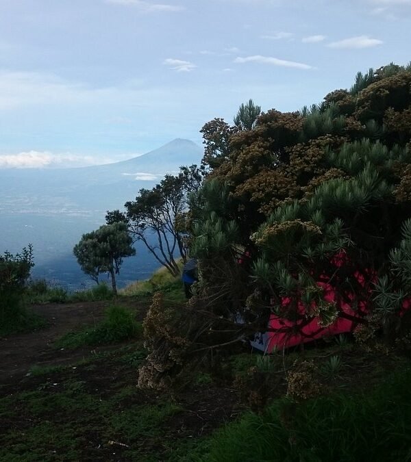 Two Days on Mount Merbabu: An Epic Camping Adventure