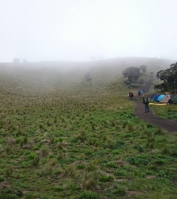 Hiking the Suwanting Trail: Reaching Mount Merbabu’s Summit