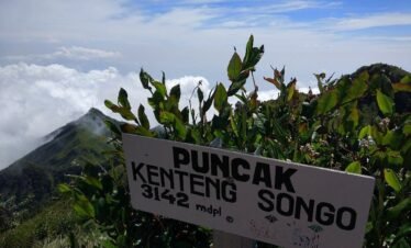 Experience Adventure and Serenity: Mount Merbabu Camping (2d1n) via Suwanting