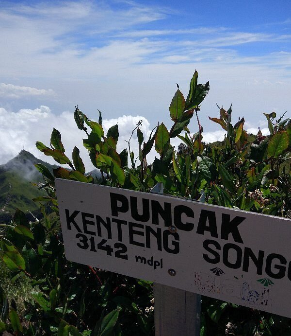 Experience Adventure and Serenity: Mount Merbabu Camping (2d1n) via Suwanting