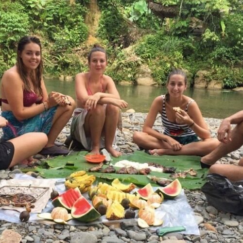 A Wildlife Encounter Getting Up Close with Orangutans in Medan and Bukit Lawang