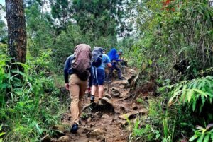 Hiking to the Summit: A Guide to Mount Lawu in Java