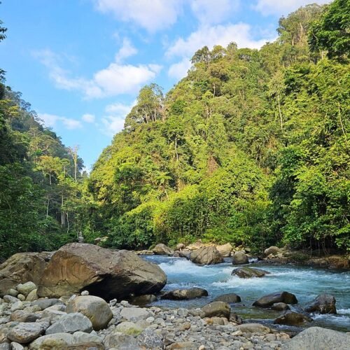 Journey to meet with Orangutans Sumatra: An Unforgettable 3-Day Trip to Medan and Bukit Lawang